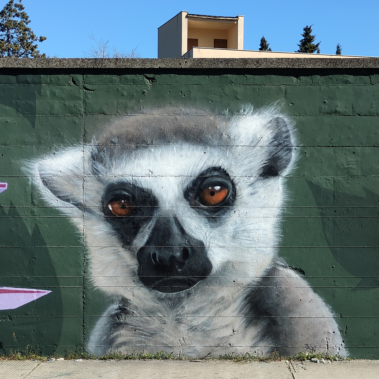 Lemur